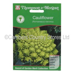 Thompson & Morgan Cauliflower Veronica